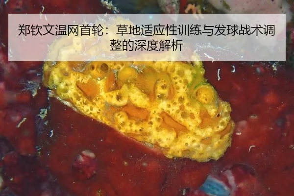 郑钦文温网首轮：草地适应性训练与发球战术调整的深度解析