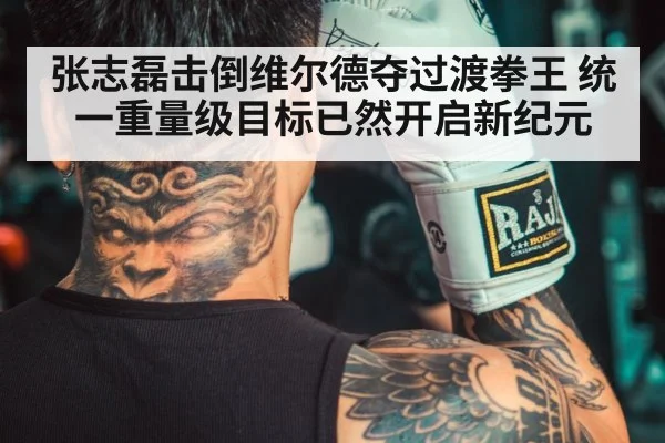 chinese boxer