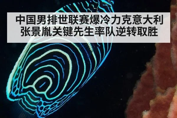 中国男排世联赛爆冷力克意大利 张景胤关键先生率队逆转取胜