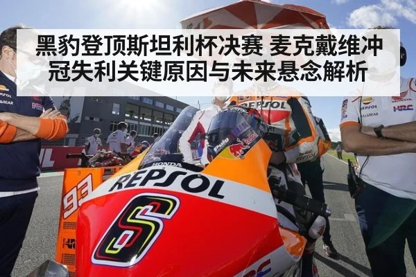 黑豹登顶斯坦利杯决赛 麦克戴维冲冠失利关键原因与未来悬念解析